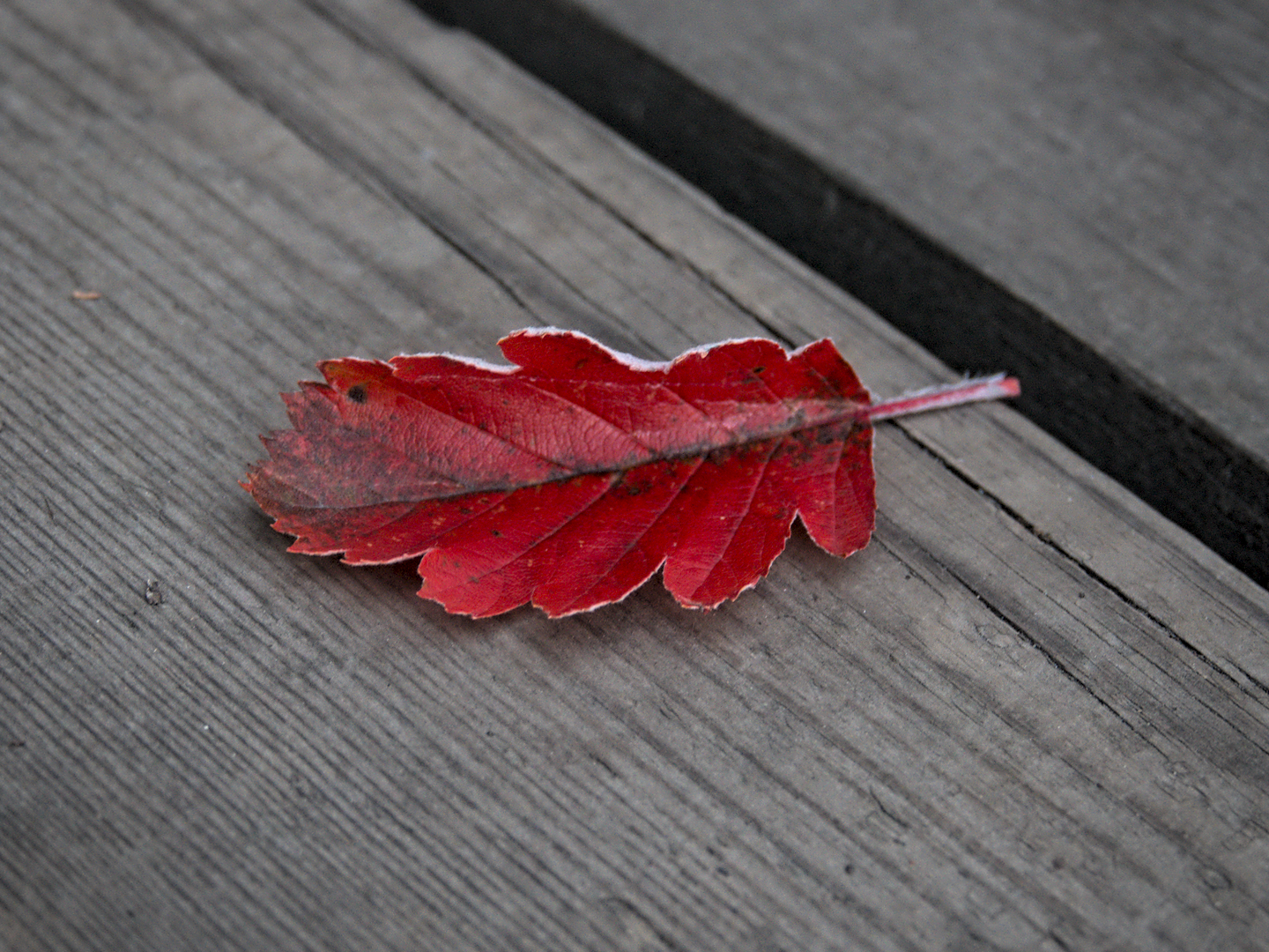 example vignette after.png